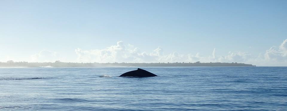 Just passing through